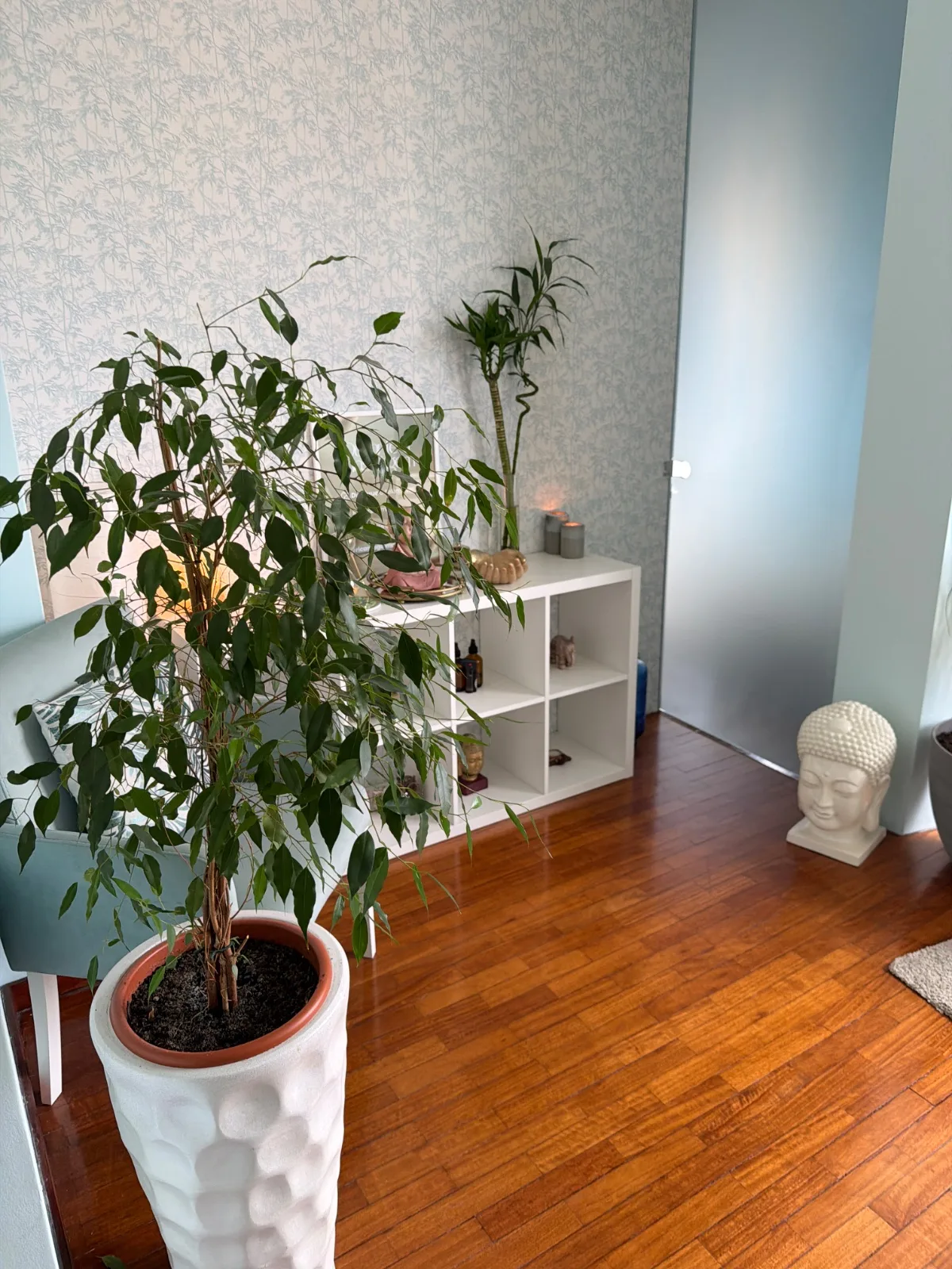 Espaço de Ricardo — foto 2