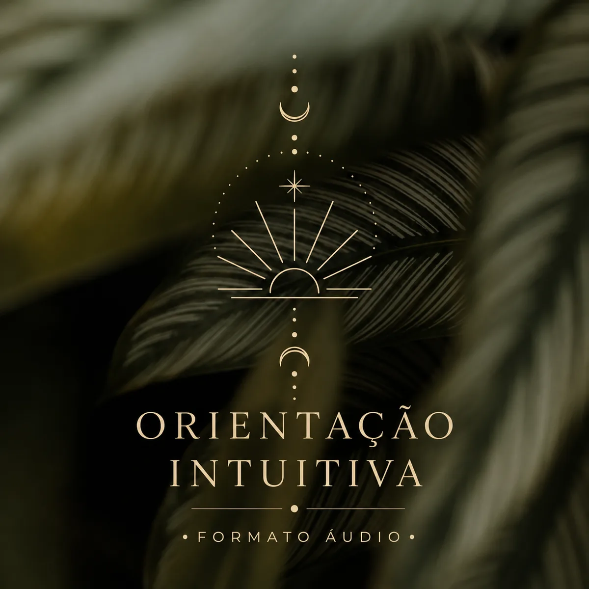 Espaço de Catarina — foto 2