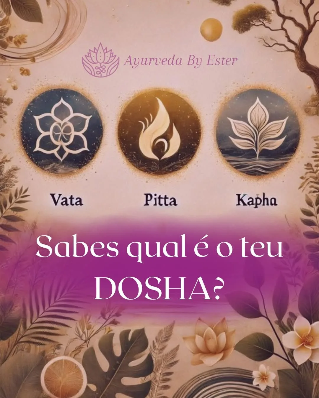 Espaço de Ester — foto 10