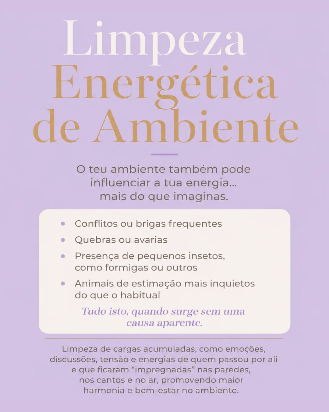 Espaço de Vanda — foto 6