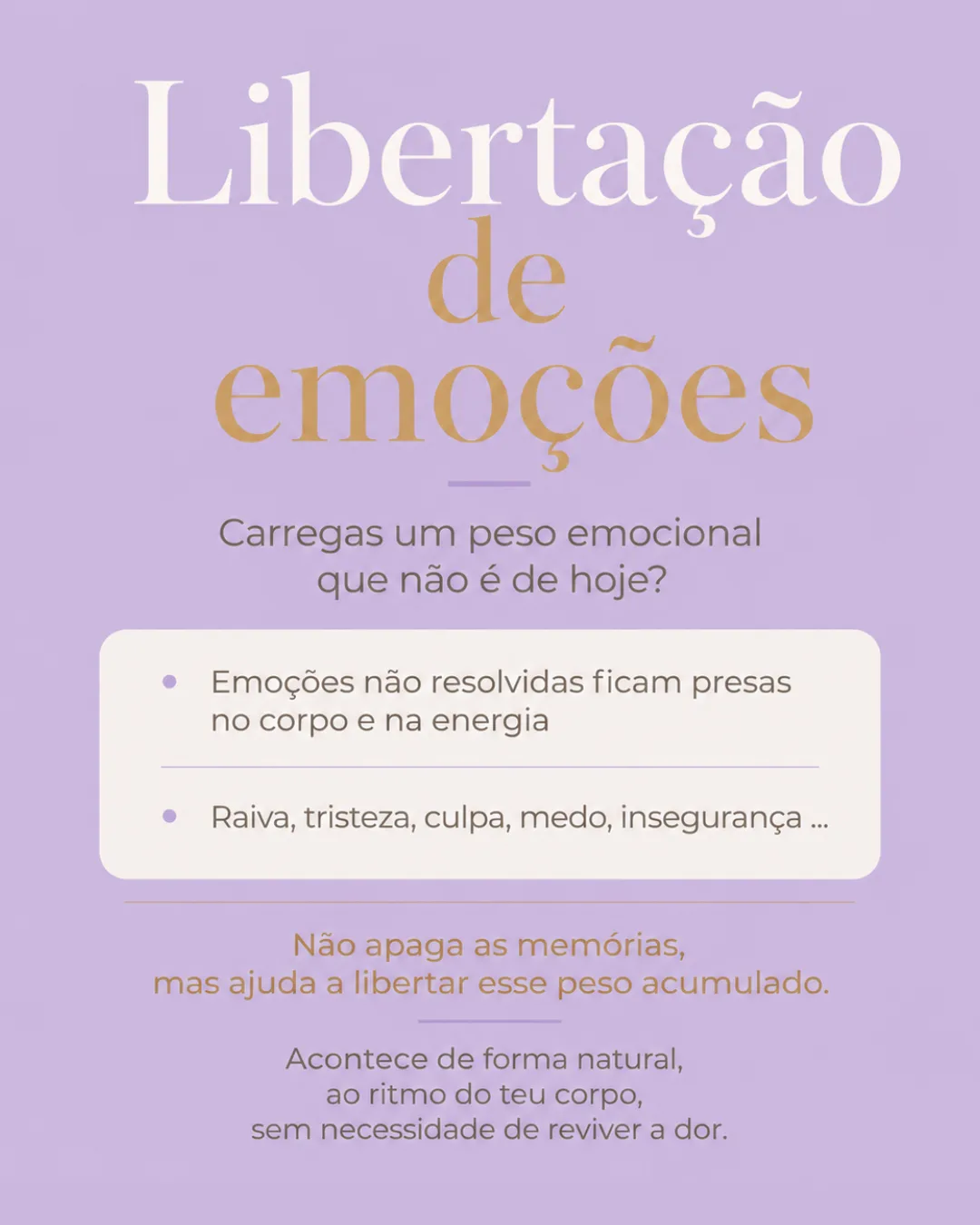 Espaço de Vanda — foto 4